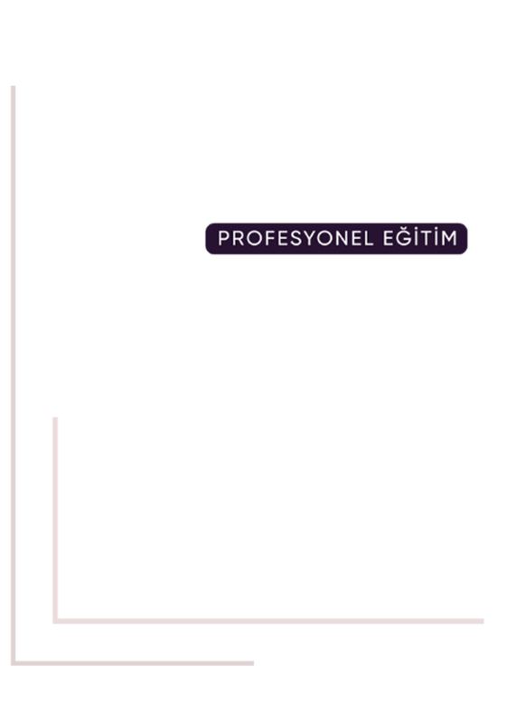 PEMA Koleji - Profesyonel Eğitim